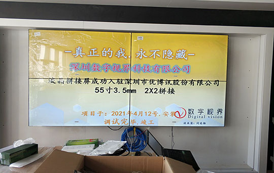 深圳優(yōu)博訊股份有限公司項(xiàng)目